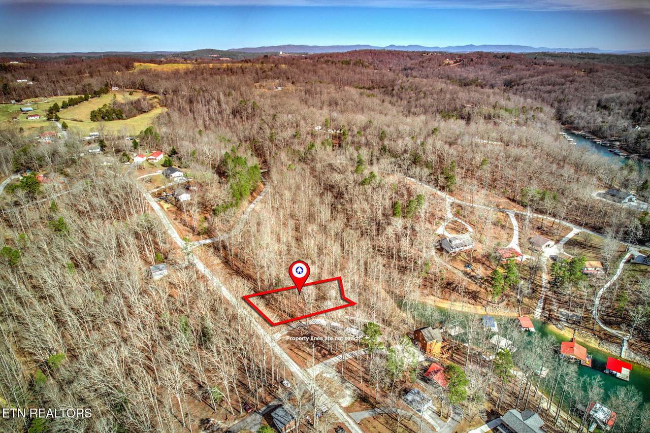  Big Creek Lot 21 Lane - Photo 1