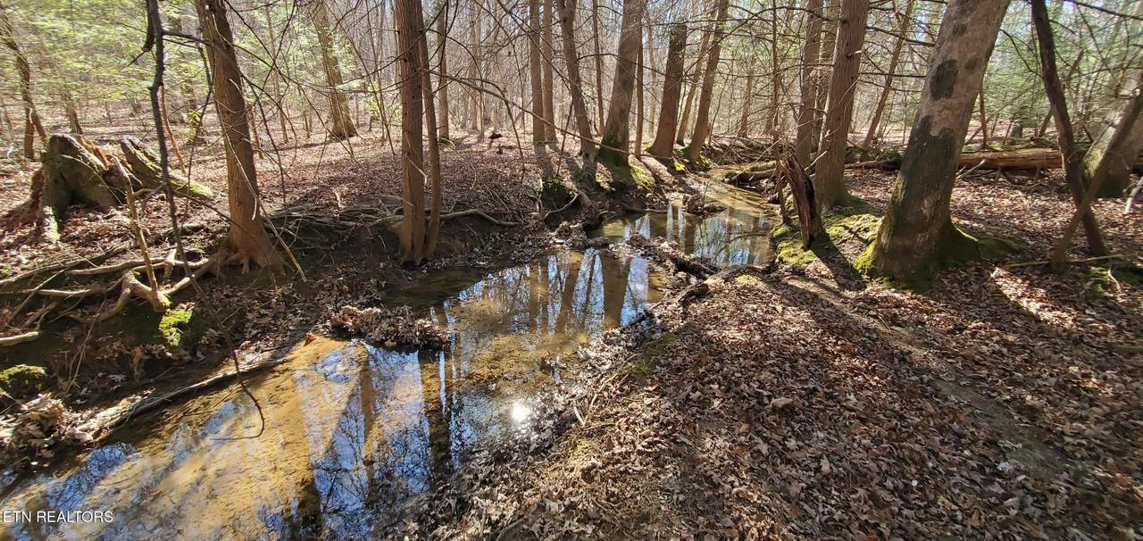  Poston Drive - Photo 1