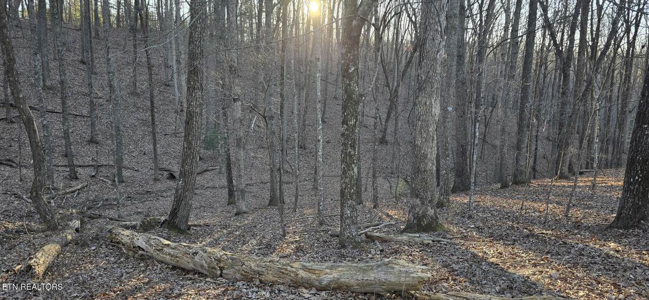119 Pineridge Loop - Photo 1