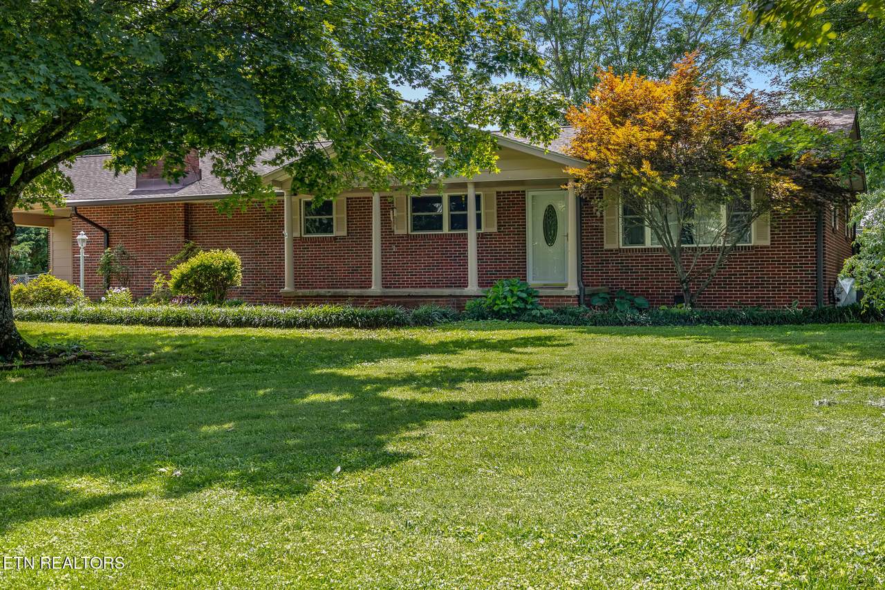 153 Co Rd 260 - Photo 1