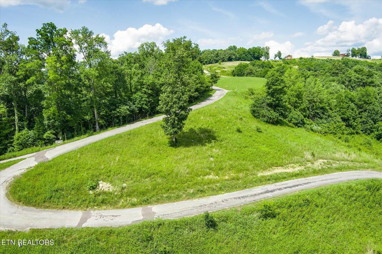 0 Bald Eagle Lane - Photo 1