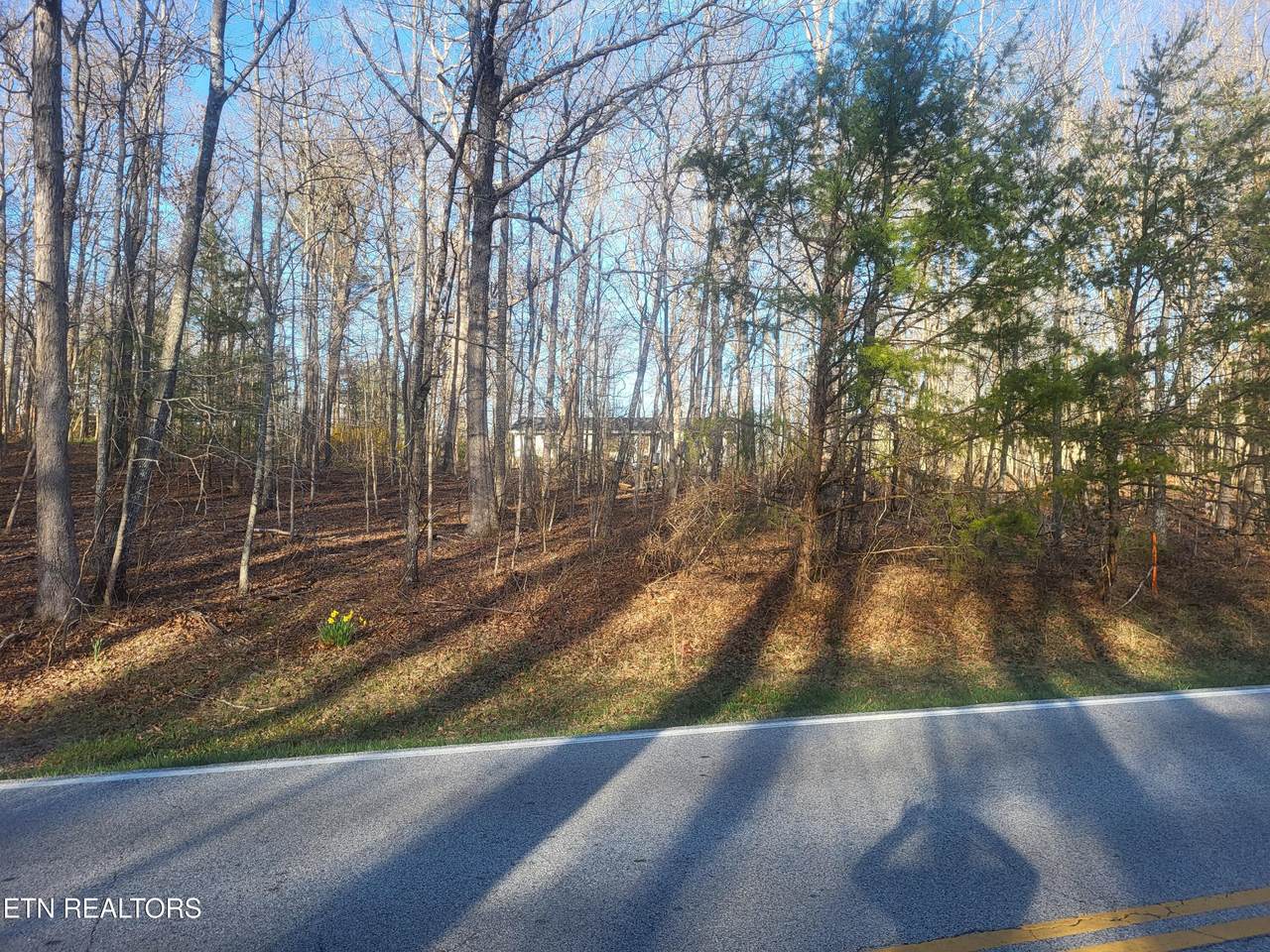 219 St. George Drive - Photo 1