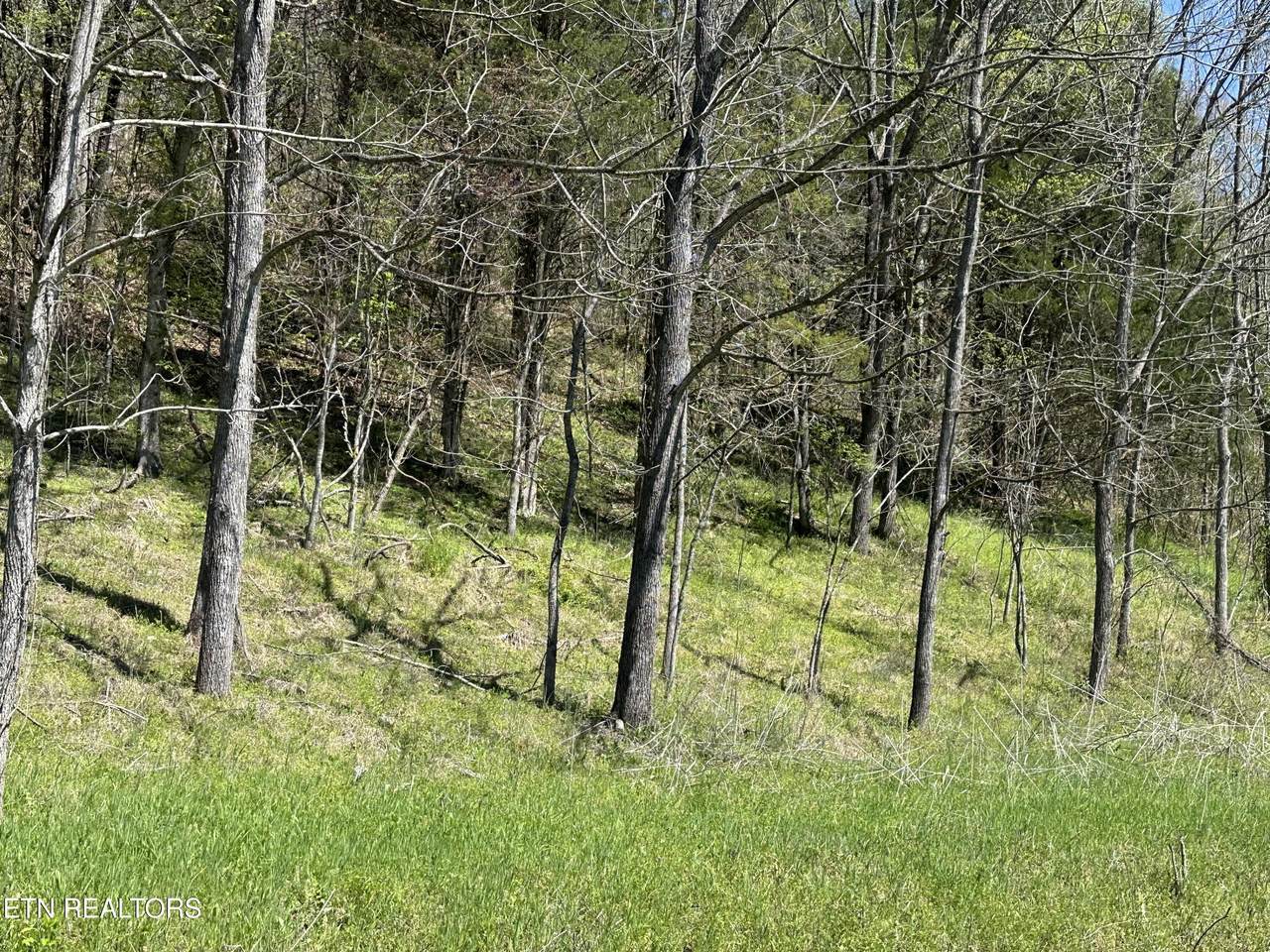  War Creek Rd - Photo 1