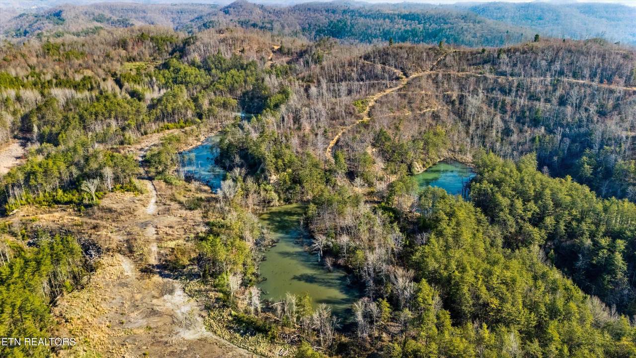 Stinking Creek Rd - Photo 1