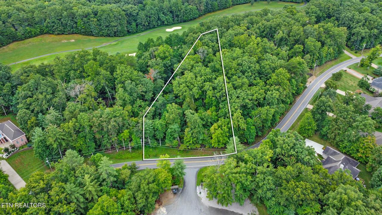  Forest Hills Drive - Photo 1