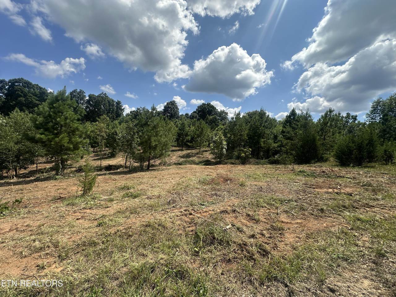 487 Julip Lane - Photo 1