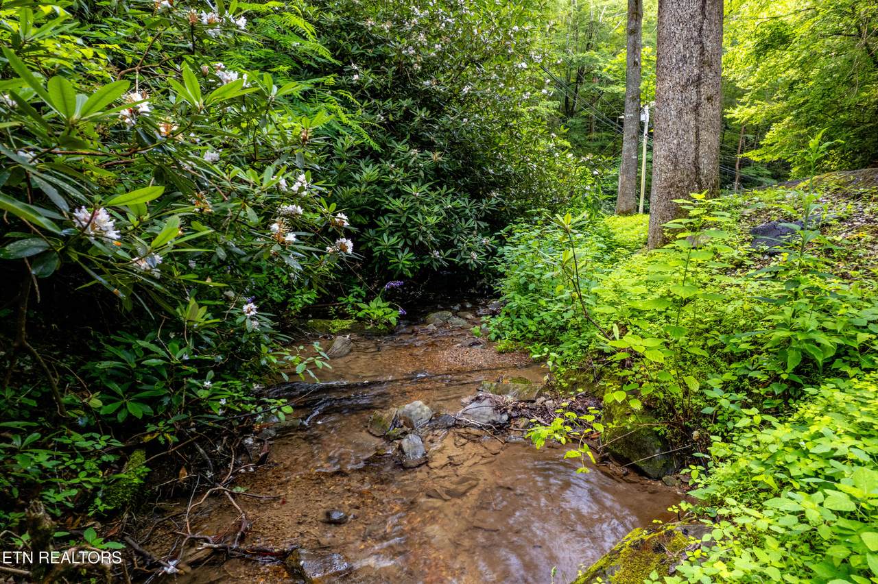  Butler Branch Rd - Photo 1