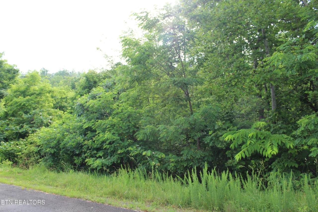 https://bt-photos.global.ssl.fastly.net/kaar/1280_boomver_1_1298967-2.jpg