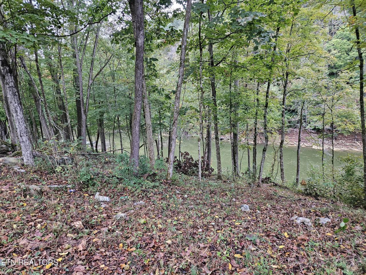  Claiborne Rd - Photo 1