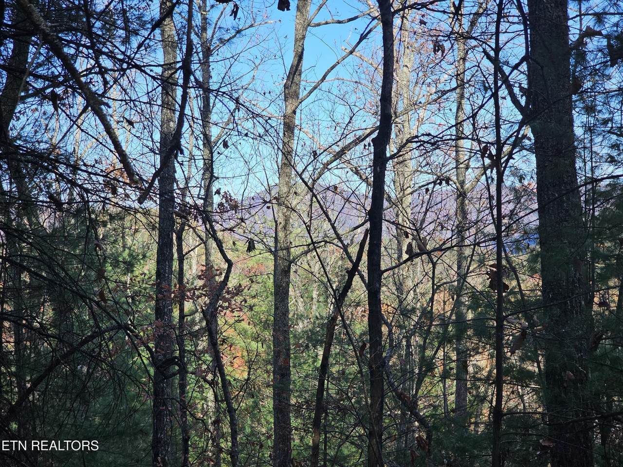 120 Greystone Way - Photo 1