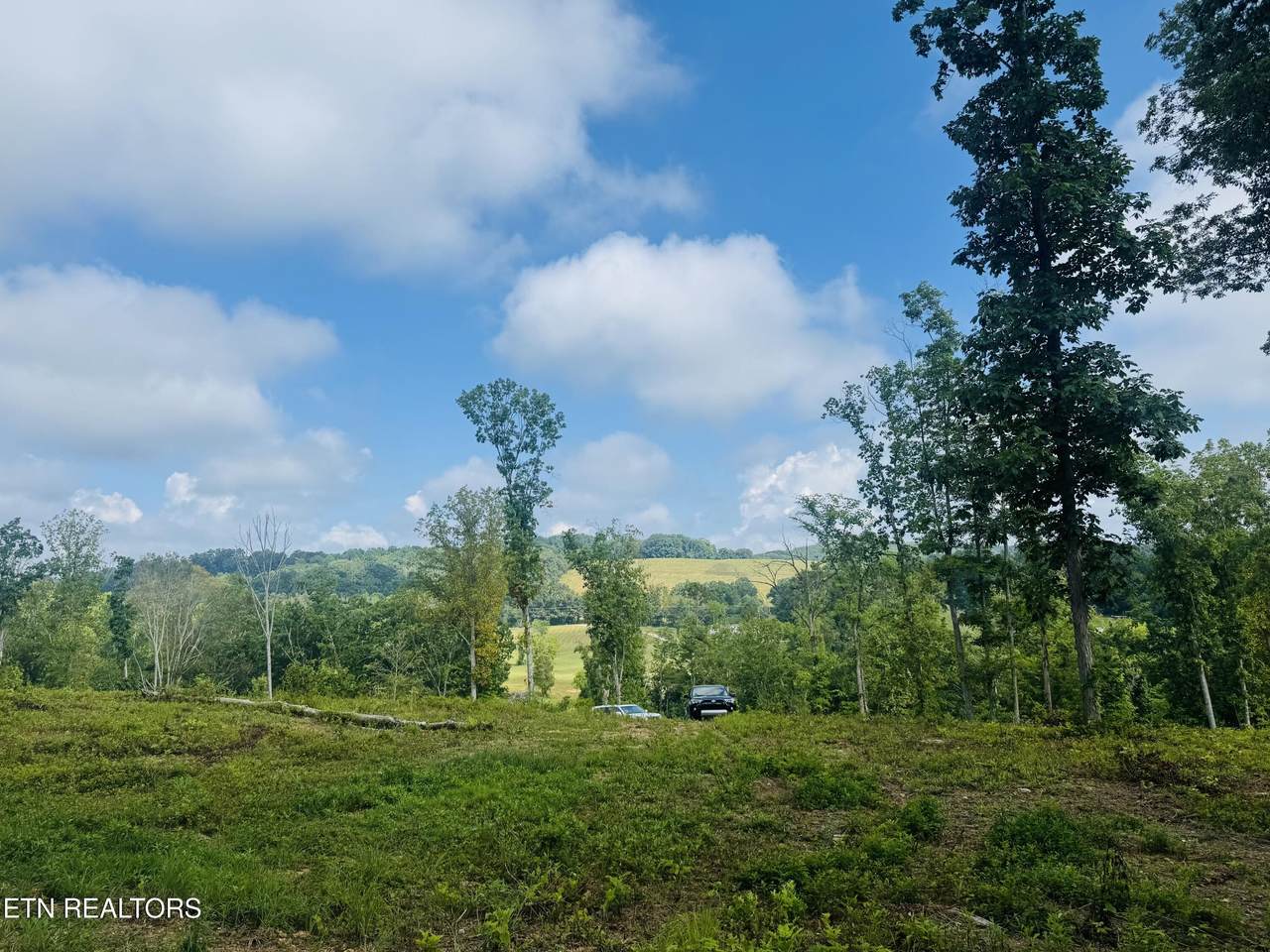 Tract 2 Mill Creek Rd - Photo 1