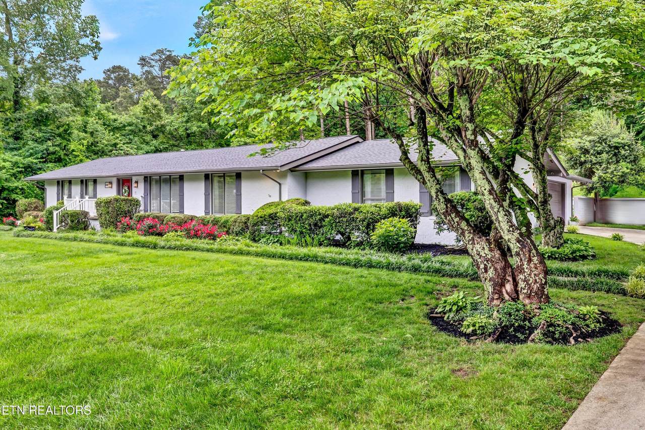 10030 Tan Rara Drive - Photo 1