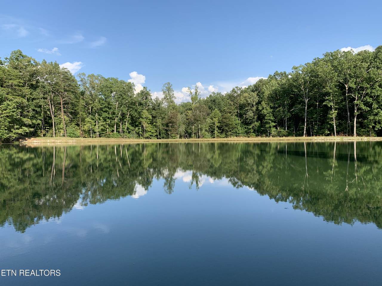  Gold Pond Way - Photo 1