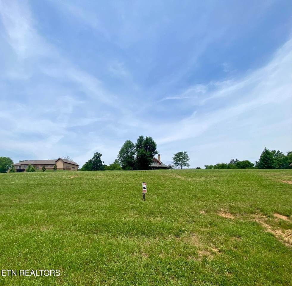 Lot 196 419 Hawks Bend - Photo 1