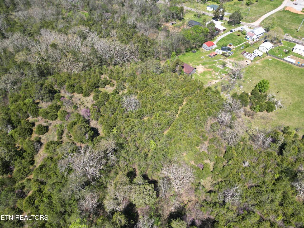 000 Thorngrove Pike - Photo 1