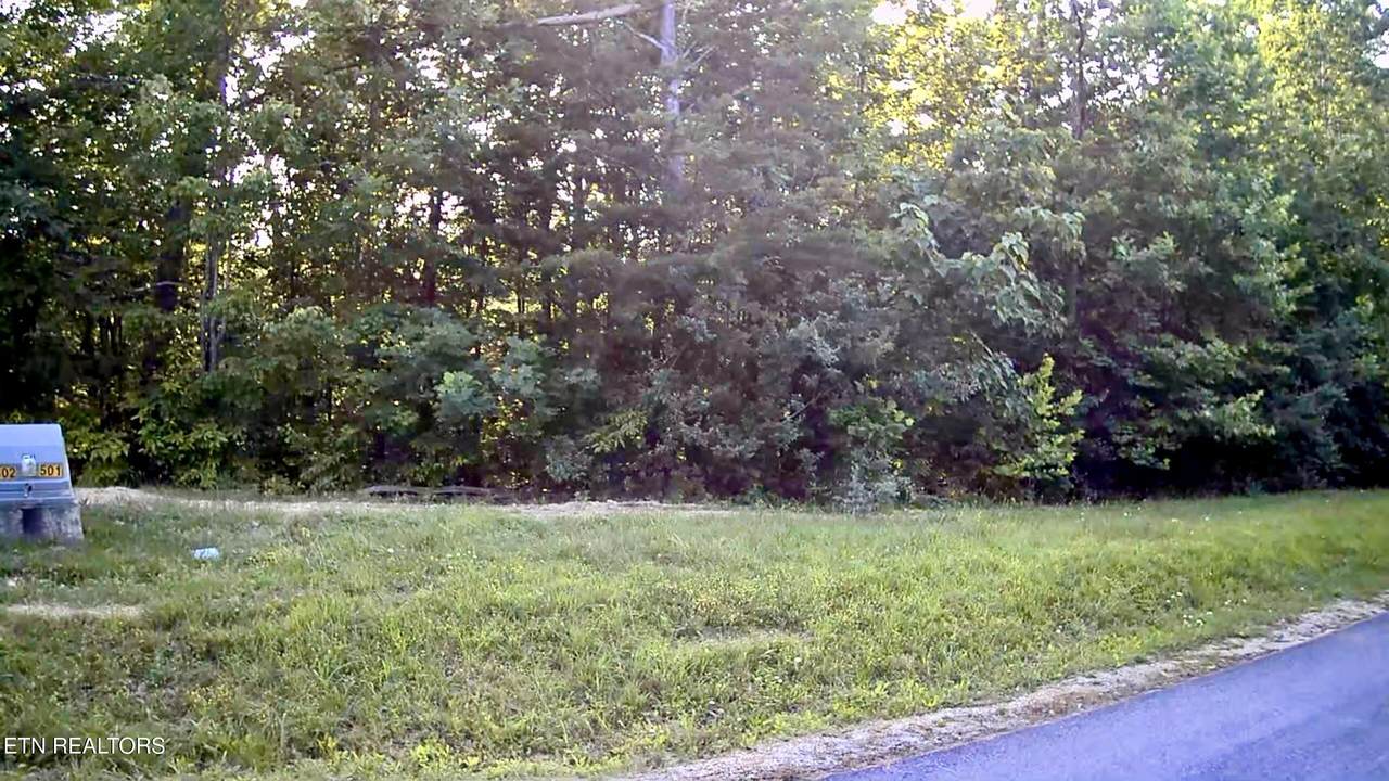 501 Cedar Gate Lane - Photo 1
