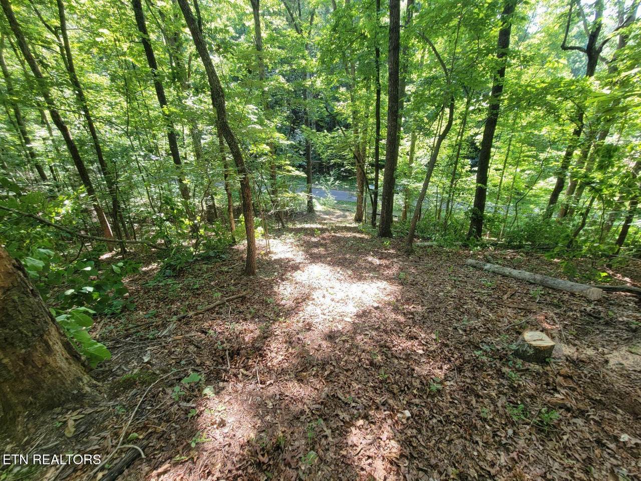 6224 Get Good Hollow Rd - Photo 1
