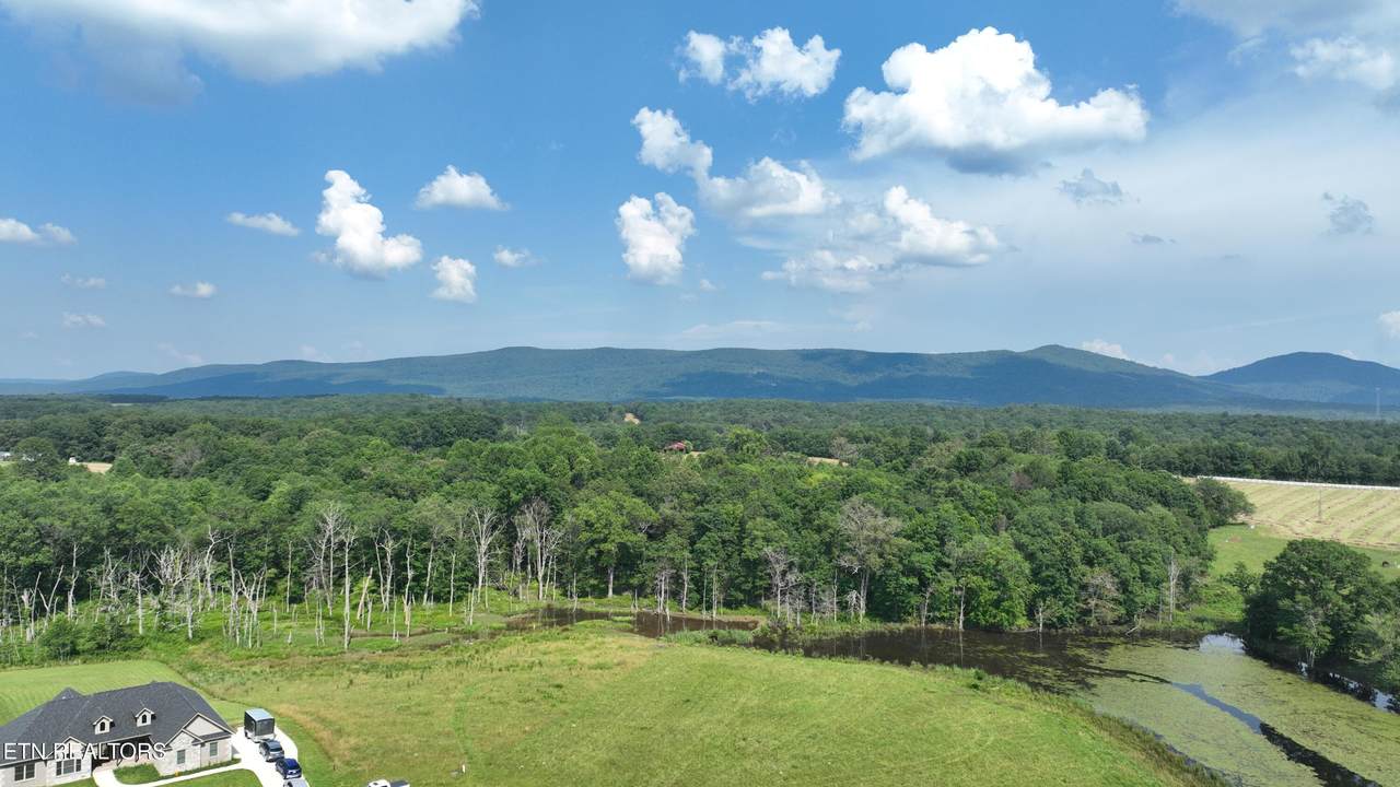 145 Whitson Lane - Photo 1