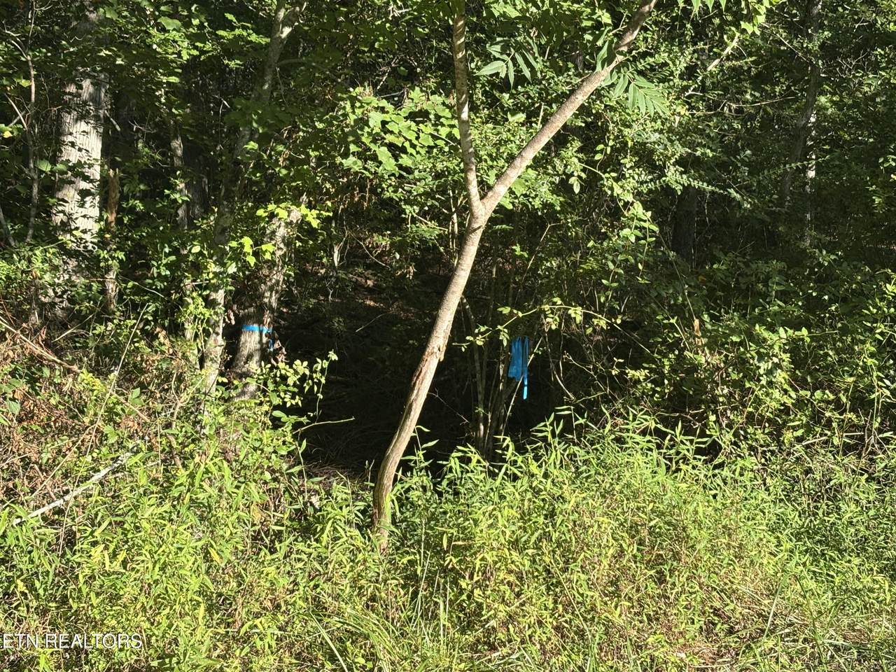 5054 Chinook Lane - Photo 1