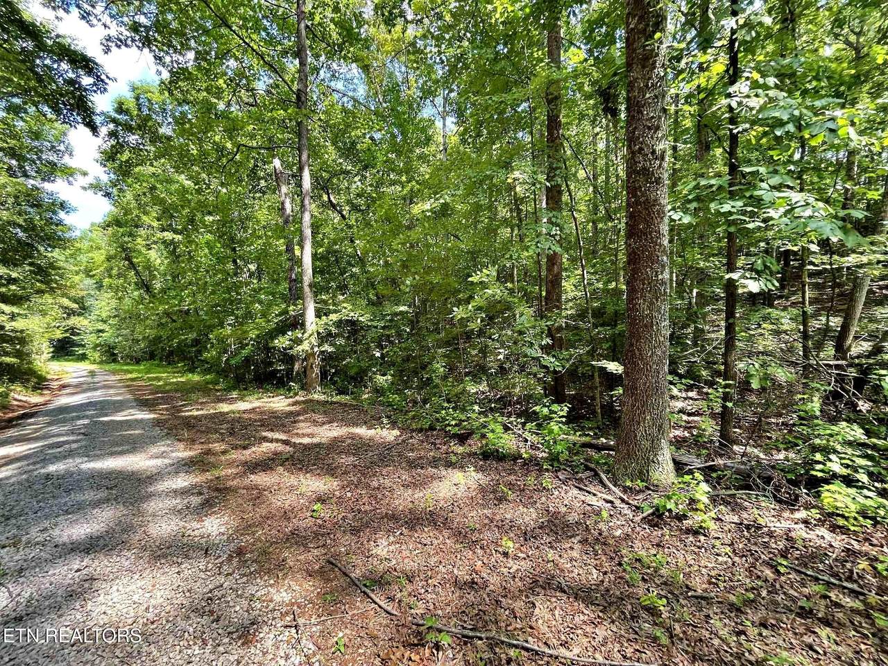 Lot 5 Raby Hollow Road - Photo 1