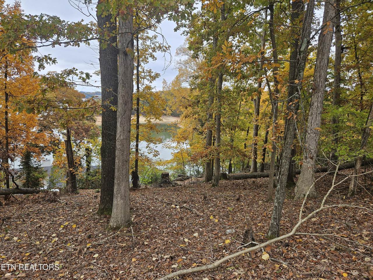https://bt-photos.global.ssl.fastly.net/kaar/1280_boomver_2_1307502-2.jpg