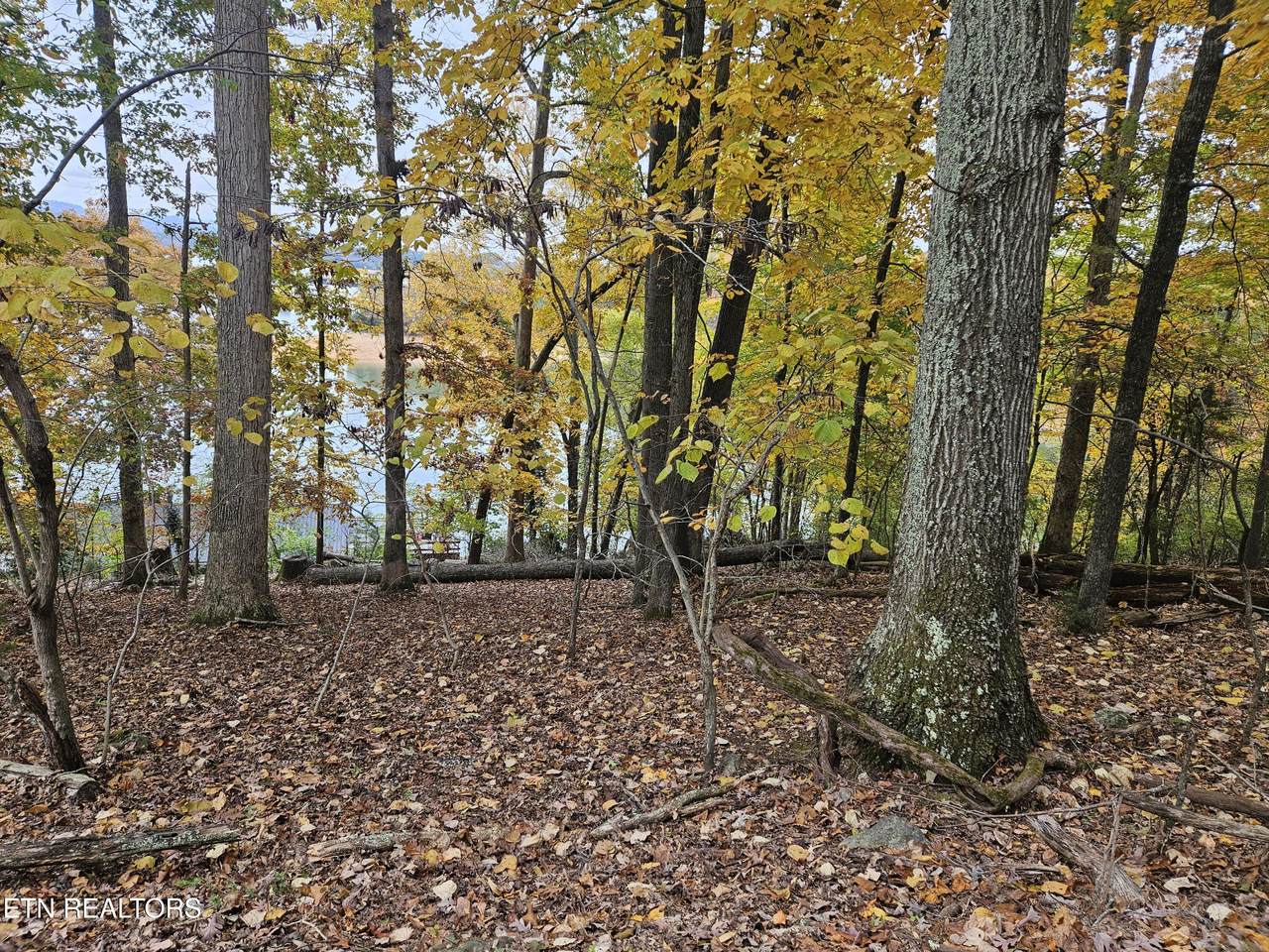 https://bt-photos.global.ssl.fastly.net/kaar/1280_boomver_2_1307502-2.jpg