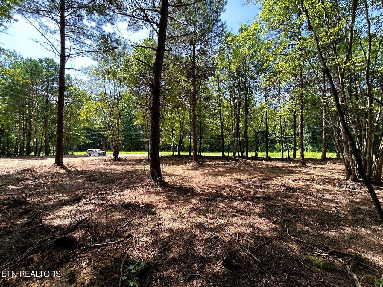 Lot 3 Highway 304 - Photo 1