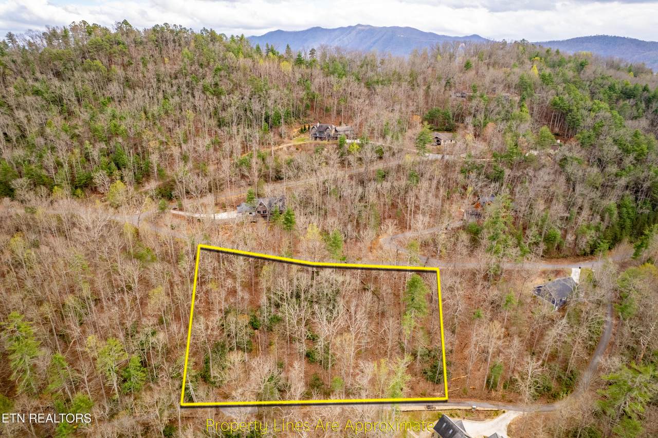483 Chetola Trail - Photo 1