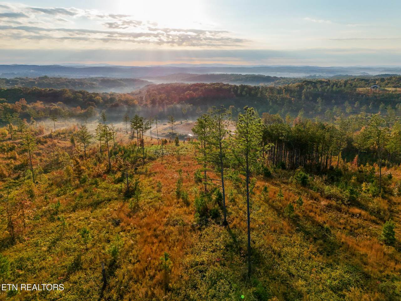 980 Wasson Rd - Photo 1