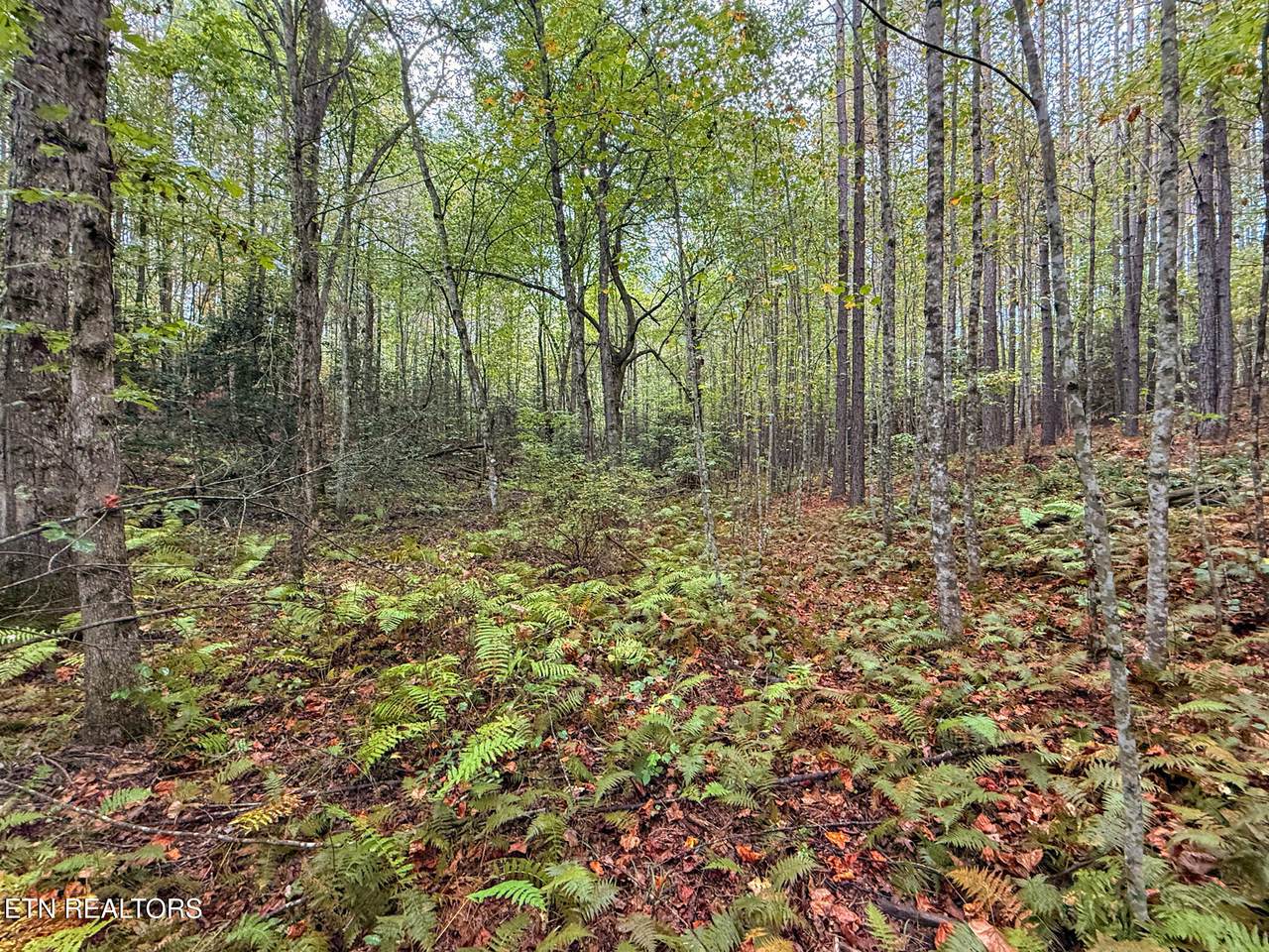  Lot 26 Airport Rd - Photo 1