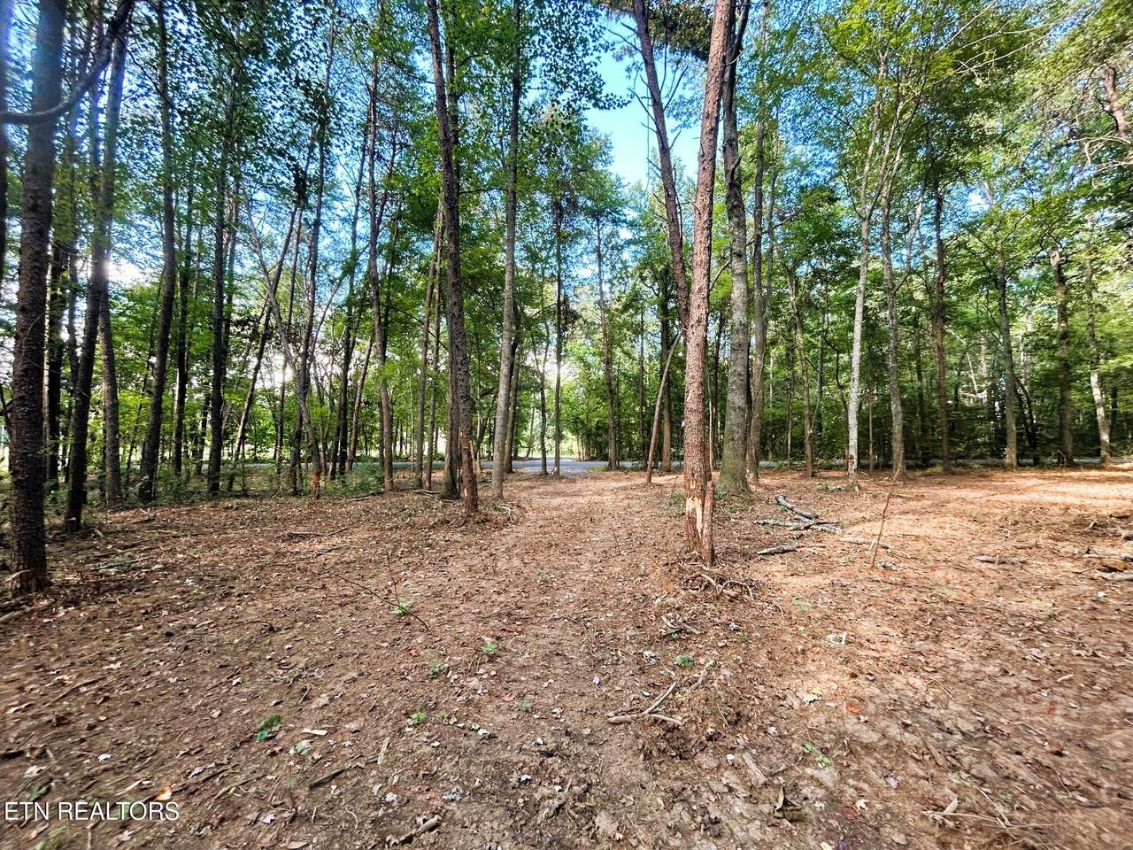 Tract 5 Pleasant Hill Road - Photo 1