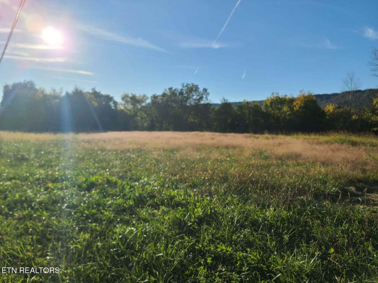 27435 Rhea County Hwy - Photo 1