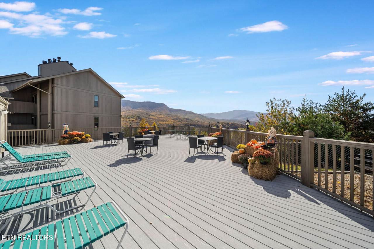 3710 Weber Rd - Photo 1