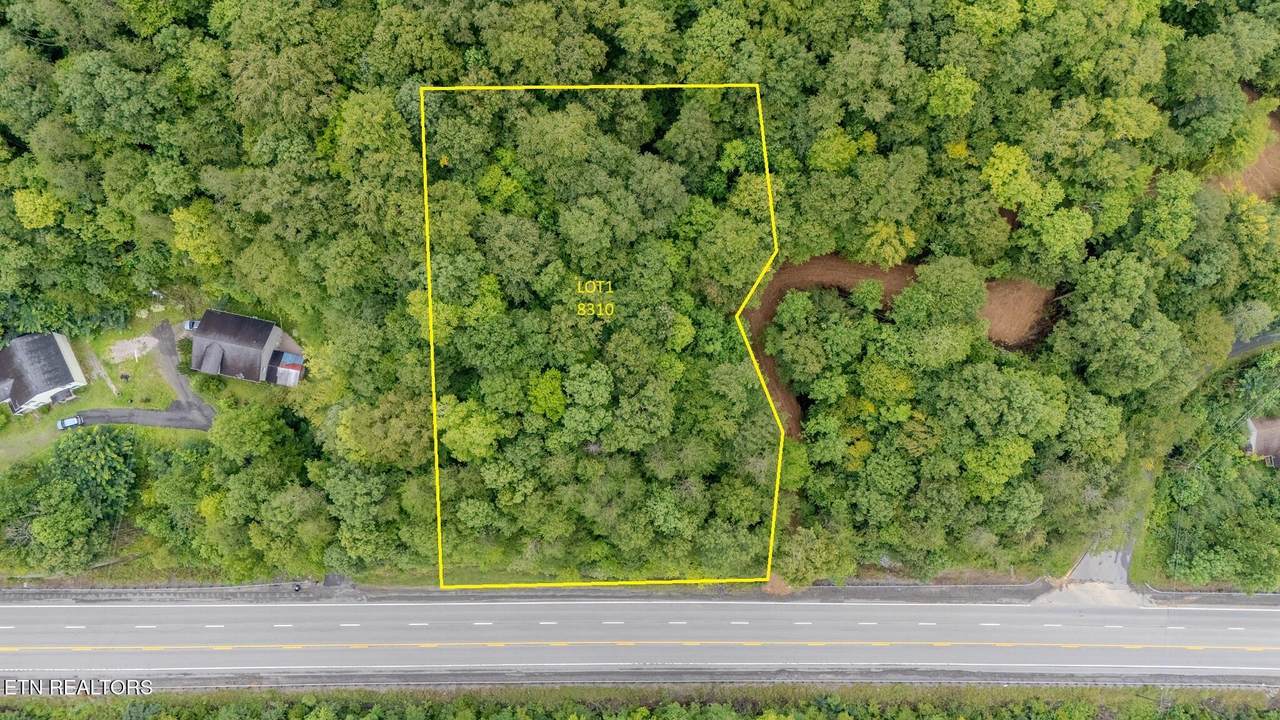  Lot 1  8310  Us Hwy 119 - Photo 1