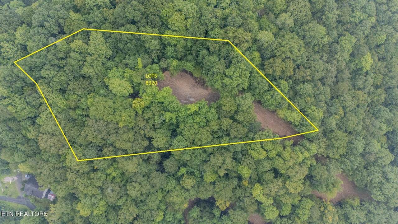  Lot 5 8320 Us Hwy 119 - Photo 1