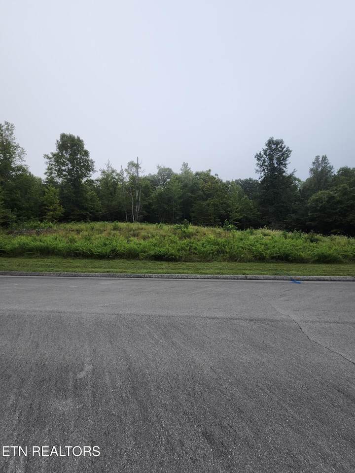 302 Caney View (W/Dock) Drive - Photo 1