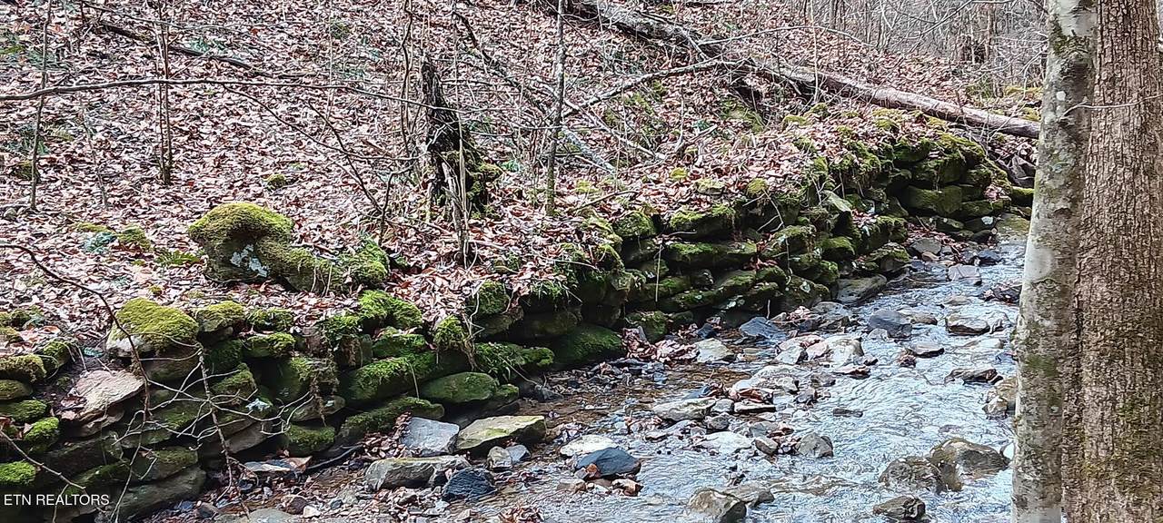  Stoney Fork Rd - Photo 1