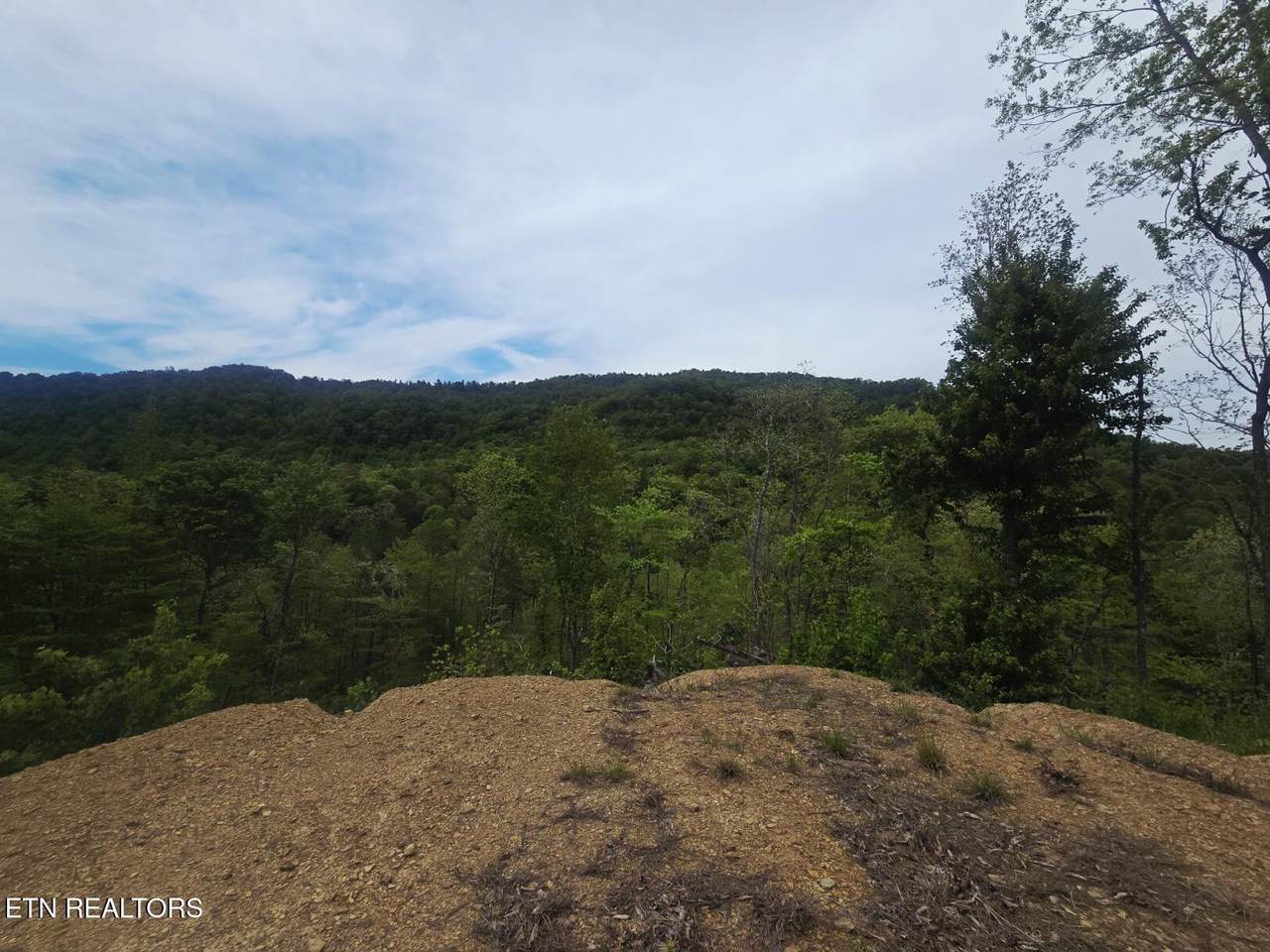 2774 Stanley Creek Rd - Photo 1