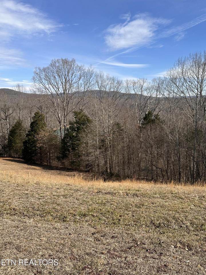  Cliff Edge Rd - Photo 1