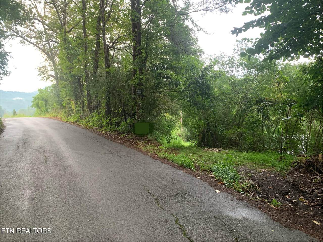 426 Rudd Hollow - Photo 1