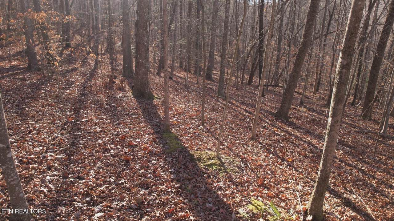  Lot 118 Hiwassee View Drive - Photo 1