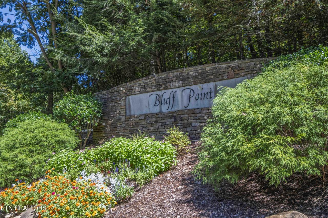 2029 Duck Cove Drive - Photo 1