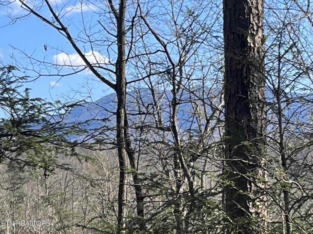  Shady Grove Court - Photo 1