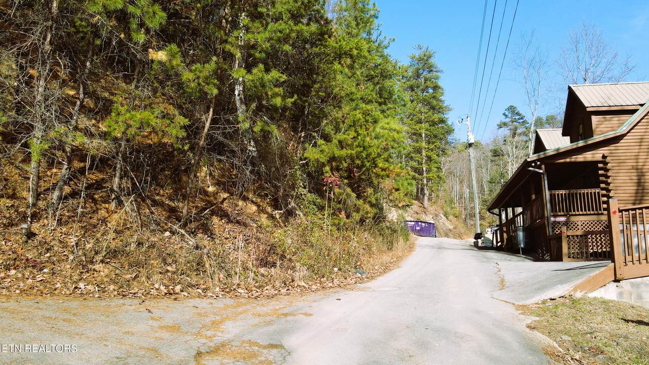  Red Bone Way - Photo 1