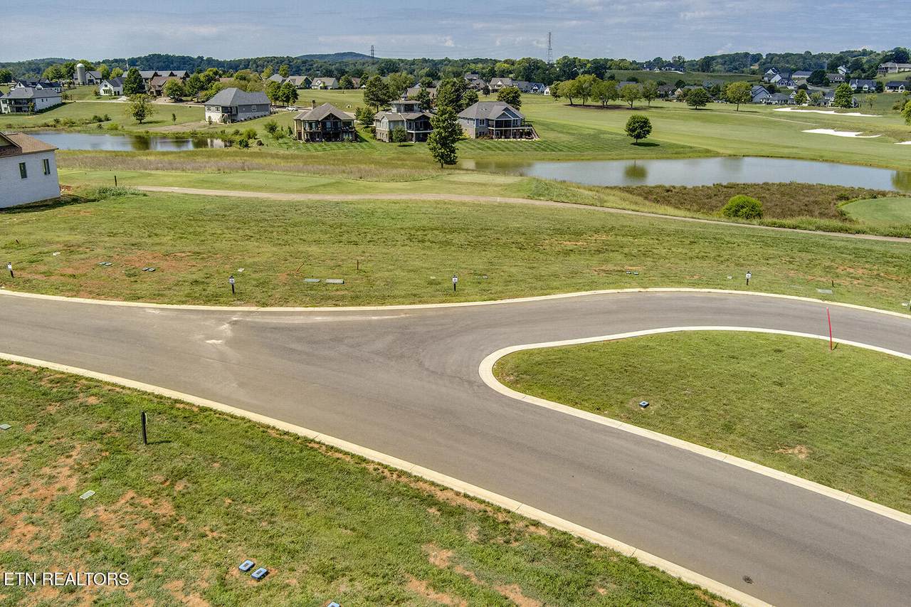 497 Black Bear Circle - Photo 1