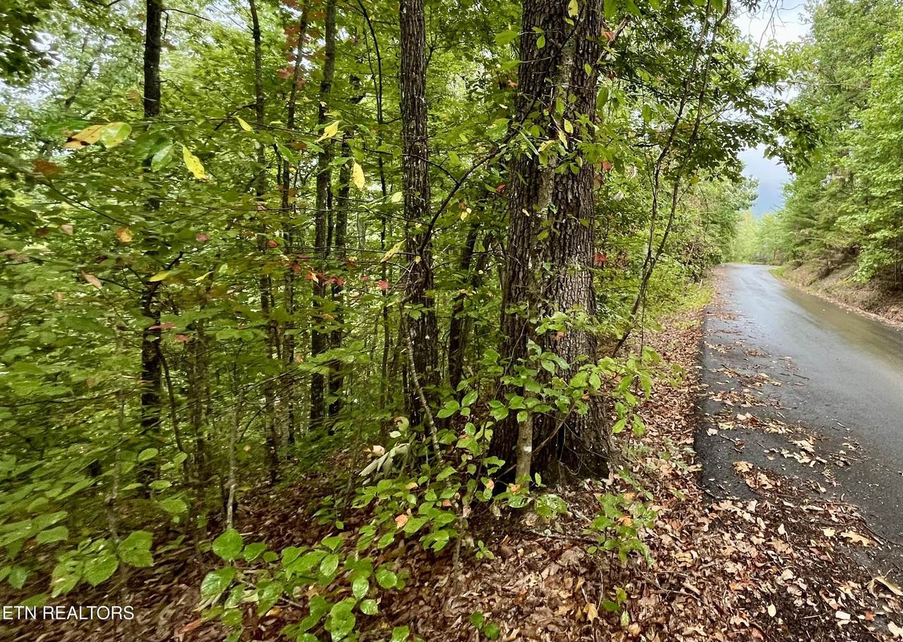 2643/2647 Sawmill Branch Drive - Photo 1