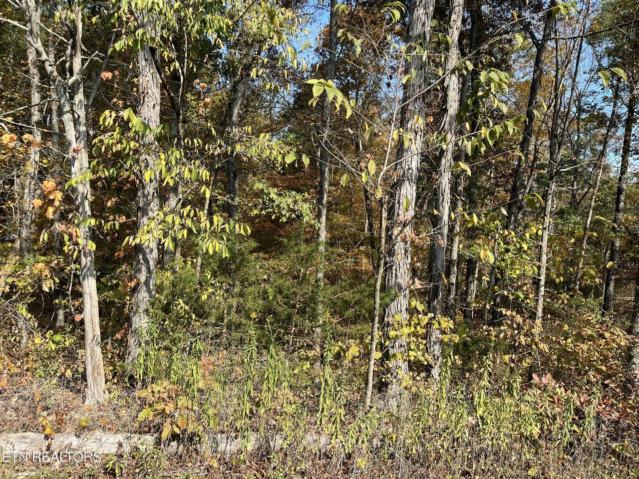 269 Elohi Way - Photo 1