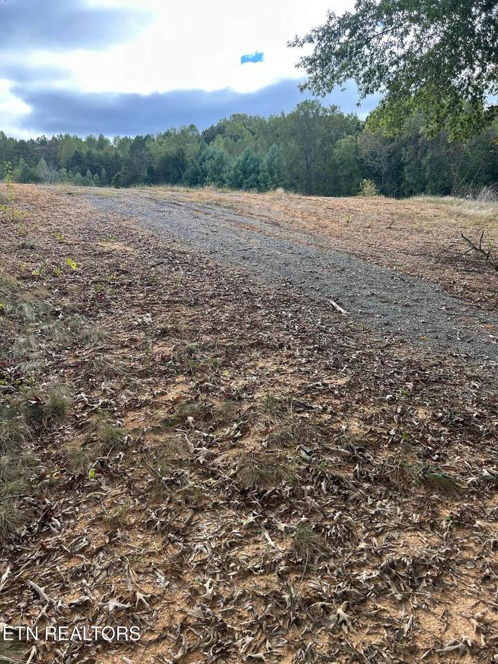 Lot 2 A Highway 39 - Photo 1