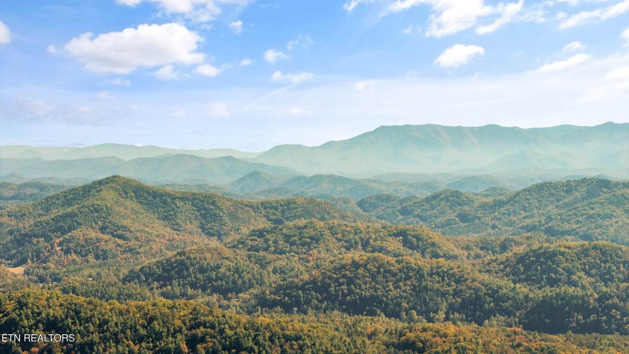  Off Sharp Road/Shell Mountain - Photo 1