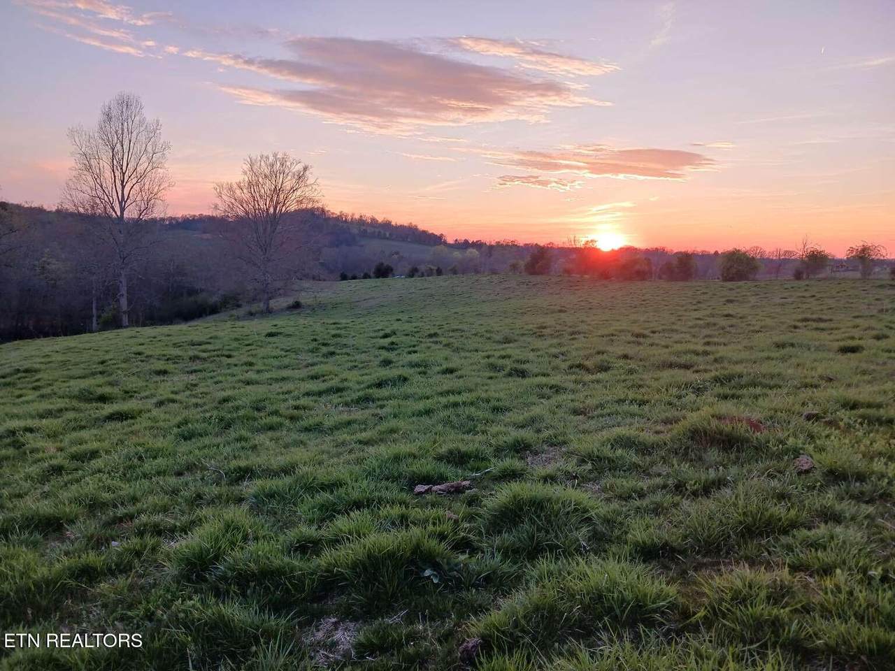 1239 Trigonia Rd - Photo 1